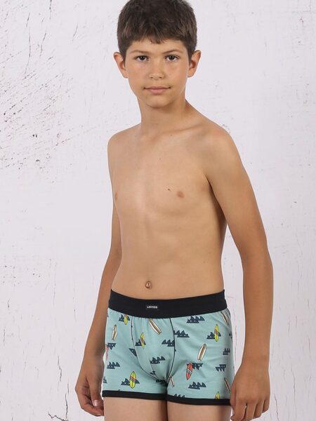 KIDS-(2)-Art.-340-Deciji-box-sorts-WB,-Sirovinski-sastav-95�pamuk,-5�-Velicine-2,4,6,8,10,12,14,-Cena-2-6-275,00-rsd,-8-14-325,00rsd