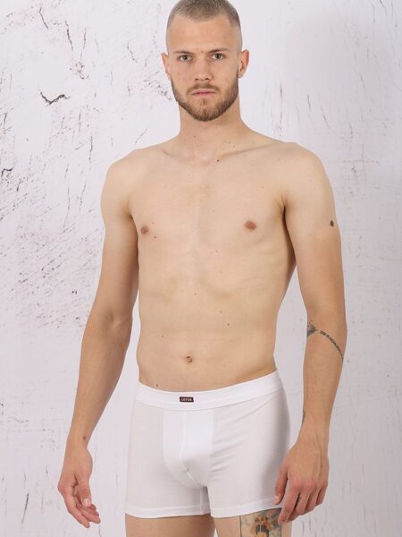 MUSKI-(50)-Art.-253-Muski-box-WB,-Sirovinski-sastav-95�-pamuk,-5�-elastan,-Velicine-L,XL,XXL,-Odrzavanje-60stepeni,-Cena-415,00