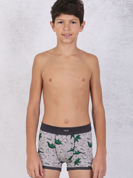 9-1-ART-530340-1-Deciji-boks,-Sastav-95�-pamuk,5�-elastan,-Odrzavanje-60stepeni,-Velicine-2,4,6,-Cena-316,00rsd,-Art-531340-1-Velicine-8,10,12,14,-cena-376,00rsd