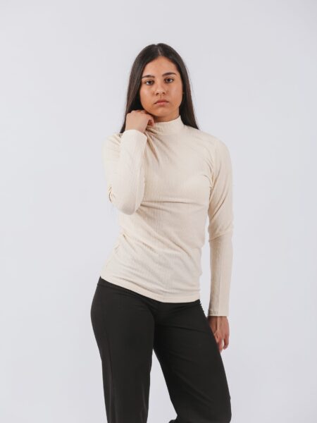 dodajemo boju uz 530881 (slika 3)